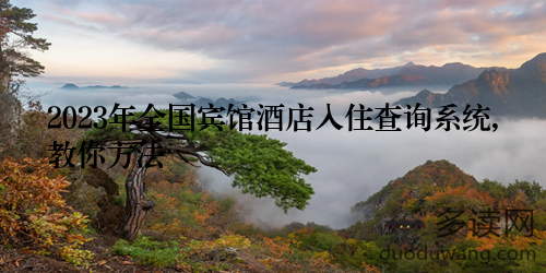 2023年全国宾馆酒店入住查询系统,教你方法