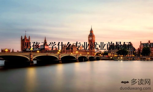 男孩子学什么专业就业前景好