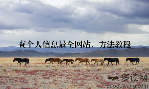 查个人信息最全网站，方法教程