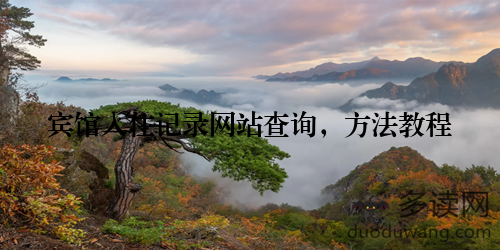 宾馆入住记录网站查询，方法教程