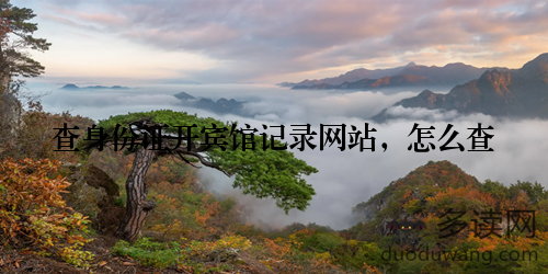 查身份证开宾馆记录网站，怎么查