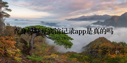 查身份证开宾馆记录app是真的吗