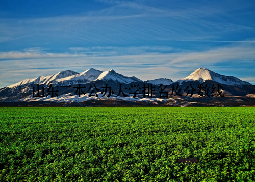 山东二本公办大学排名及分数线