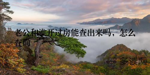 老公和谁开过房能查出来吗，怎么查询