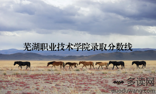 芜湖职业技术学院录取分数线