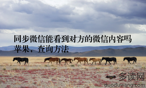 同步微信能看到对方的微信内容吗苹果，查询方法