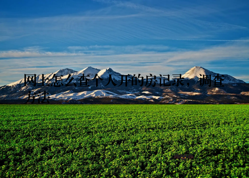 网上怎么查个人开的房记录，调查方法