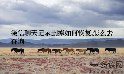 微信聊天记录删掉如何恢复,怎么去查询