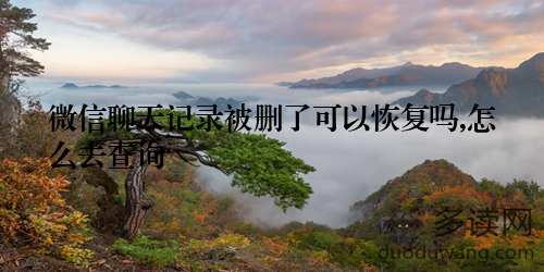 微信聊天记录被删了可以恢复吗,怎么去查询