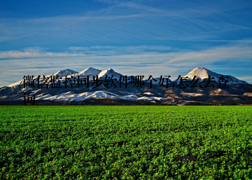 微信监控同步软件哪个好,怎么去查询