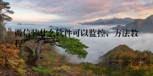微信装什么软件可以监控，方法教程