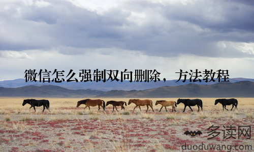 微信怎么强制双向删除，方法教程
