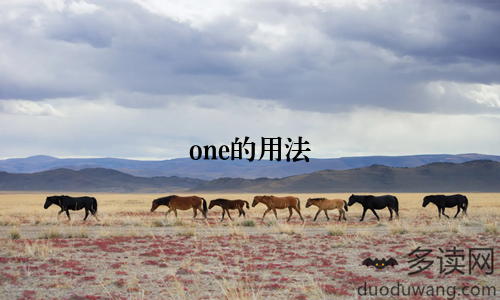 one的用法