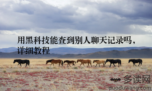 用黑科技能查到别人聊天记录吗，详细教程