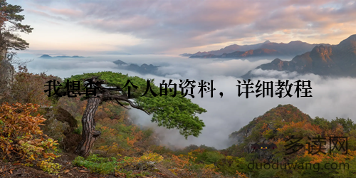 我想查一个人的资料，详细教程