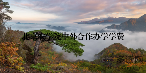 北京农学院中外合作办学学费