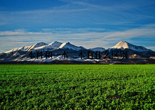 本科和一本二本有什么区别