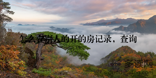 怎么查别人的开的房记录，查询