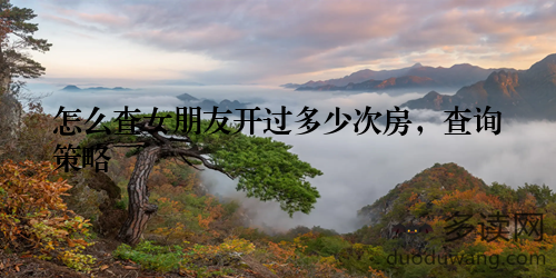 怎么查女朋友开过多少次房，查询策略