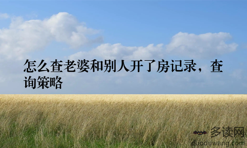 怎么查老婆和别人开了房记录，查询策略