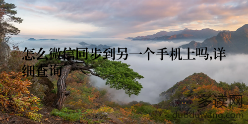 怎么微信同步到另一个手机上吗,详细查询