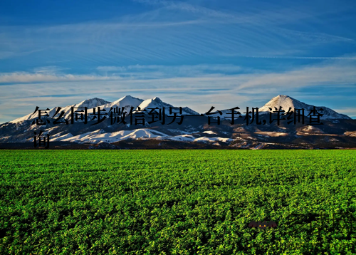 怎么同步微信到另一台手机,详细查询