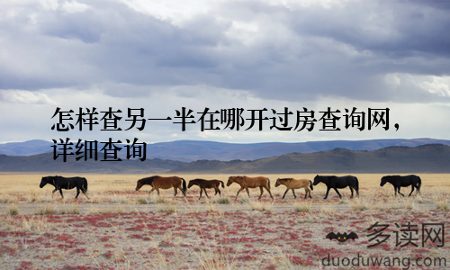 怎样查另一半在哪开过房查询网，详细查询