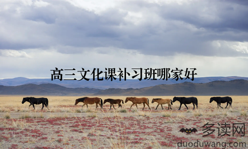 高三文化课补习班哪家好