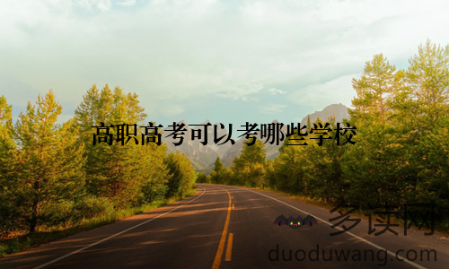 高职高考可以考哪些学校