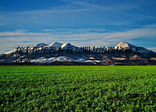 高手帮帮我查我女朋友的微信聊天记录