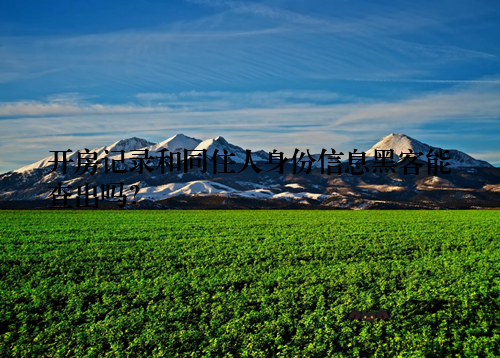 开房记录和同住人身份信息黑客能查出吗？