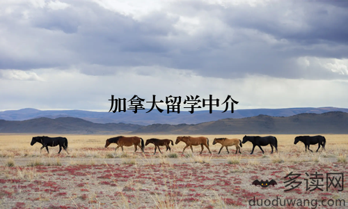 加拿大留学中介