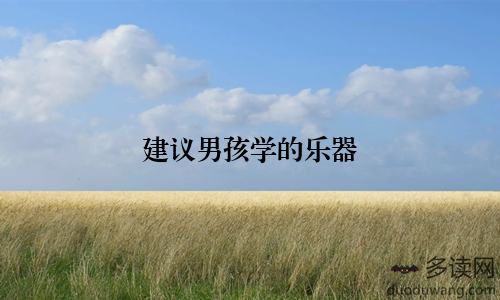 建议男孩学的乐器