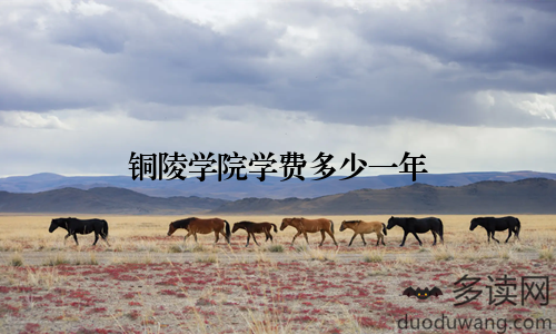 铜陵学院学费多少一年