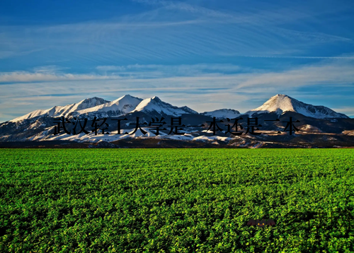 武汉轻工大学是一本还是二本