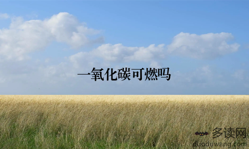 一氧化碳可燃吗