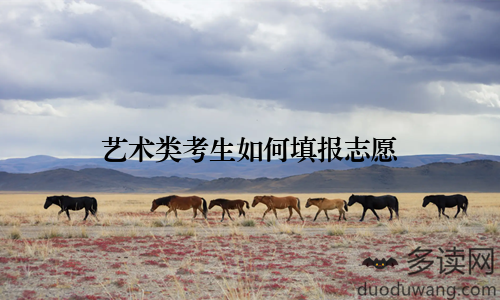 艺术类考生如何填报志愿