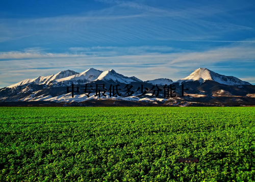 中专最低多少分能上