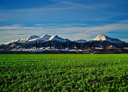 中专生走单招容易吗