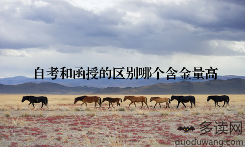 自考和函授的区别哪个含金量高