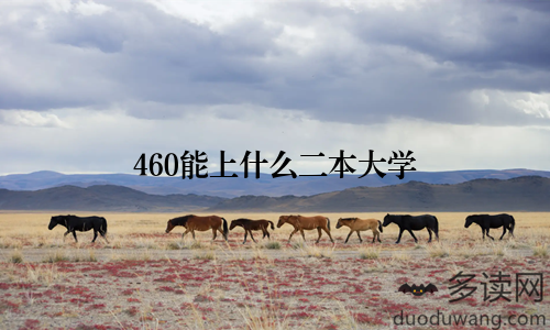 460能上什么二本大学