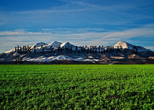 电脑上怎么查别人的微信聊天,查询