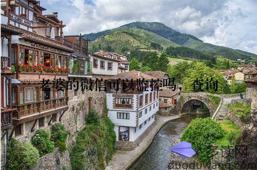 老婆的微信可以监控吗，查询