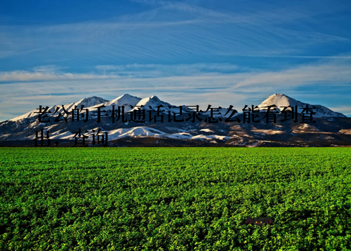 老公的手机通话记录怎么能看到查出,查询