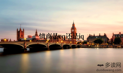 情商是eq还是iq