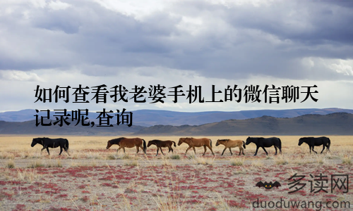 如何查看我老婆手机上的微信聊天记录呢,查询