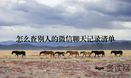 怎么查别人的微信聊天记录清单