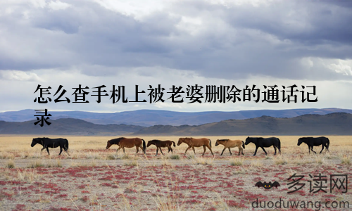 怎么查手机上被老婆删除的通话记录
