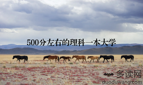 500分左右的理科一本大学