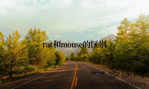 rat和mouse的区别